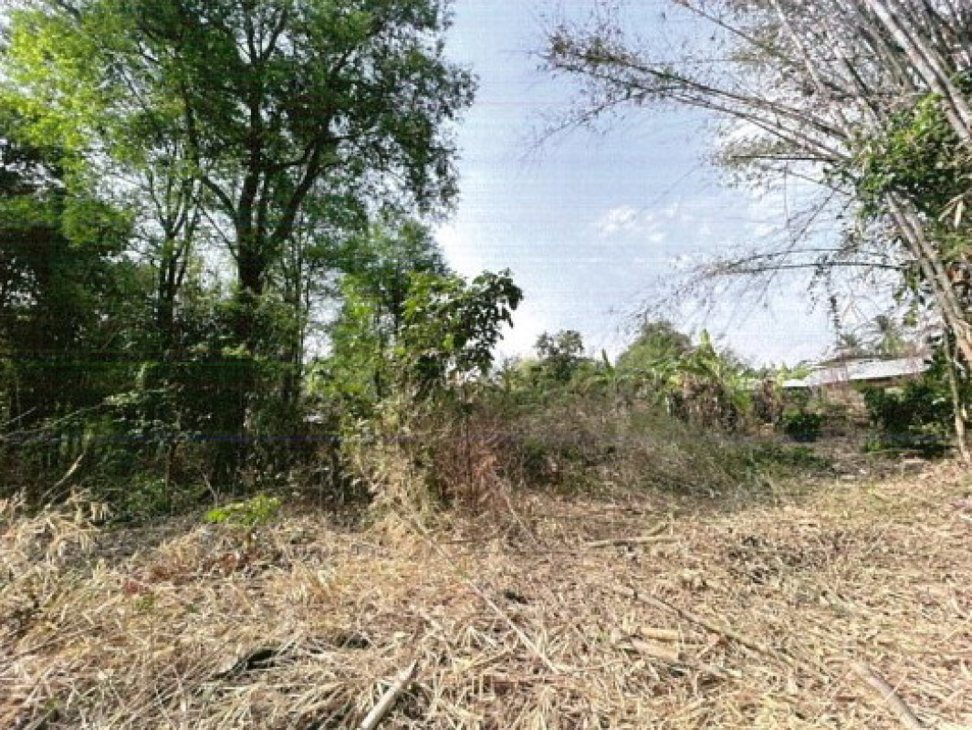 ที่ดินเปล่า มหาสารคาม เมืองมหาสารคาม บัวค้อ 253600