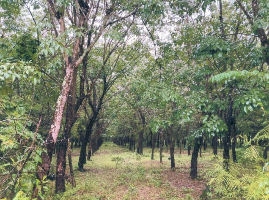 Residential land/lot Sakon Nakhon Nikhom Nam Un Nong Pling 675990