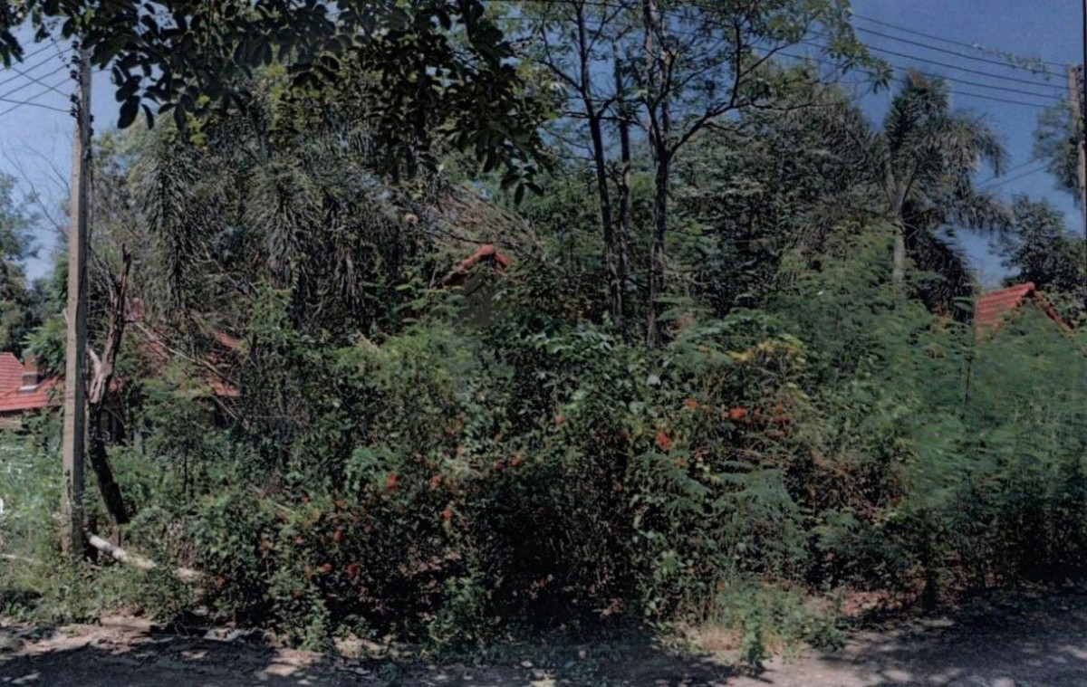 บ้านเดี่ยว นครนายก องครักษ์ บางปลากด 608550