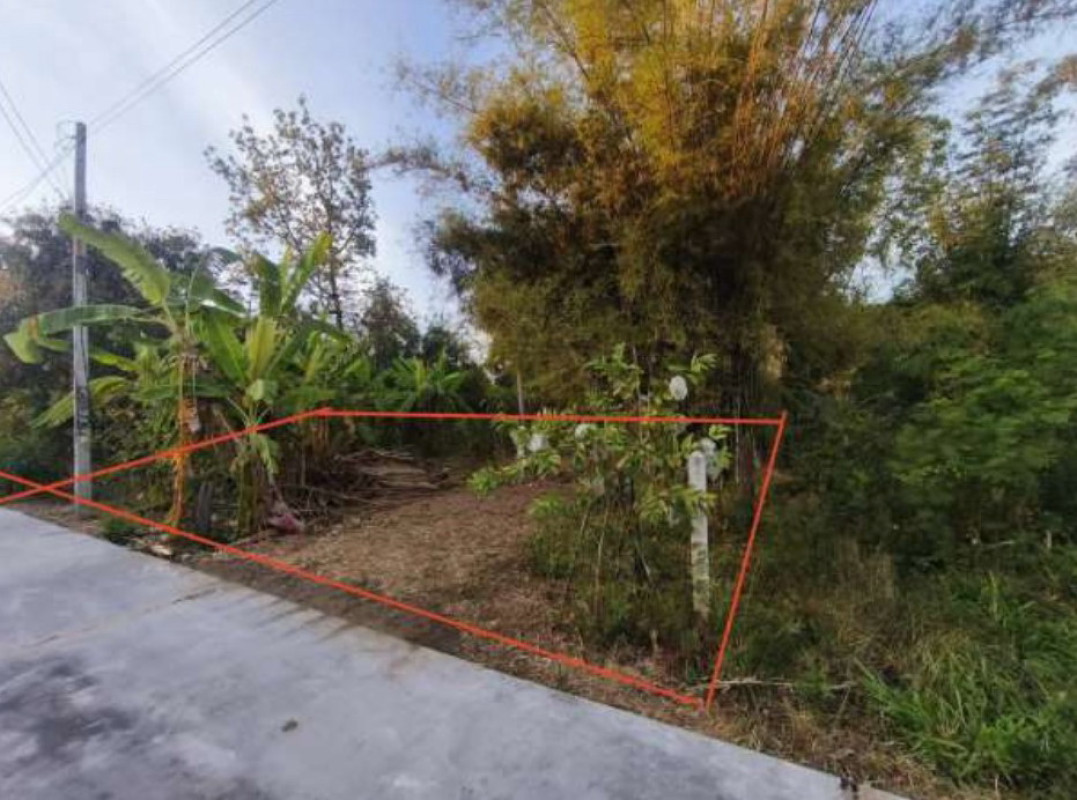 Residential land/lot Buri Ram Nong Hong Huai Hin 83125