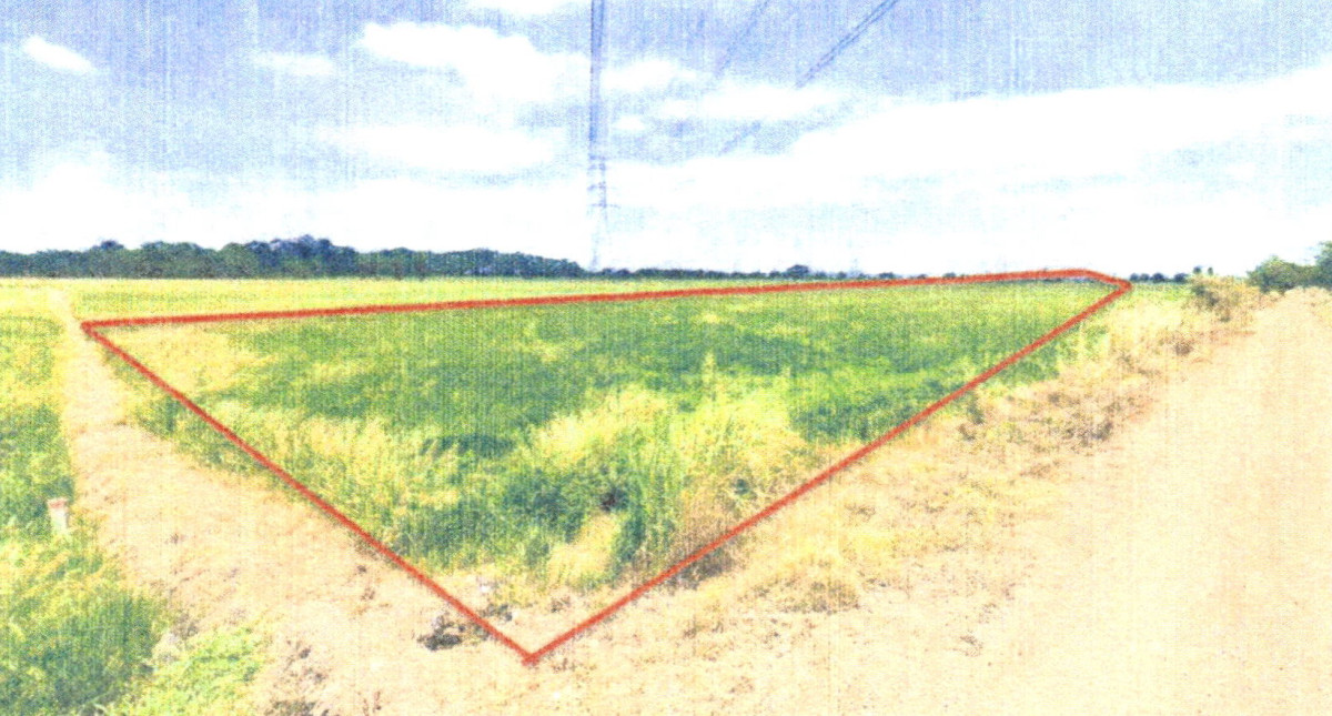 ที่ดินเปล่า ลพบุรี ท่าวุ้ง เขาสมอคอน 910000