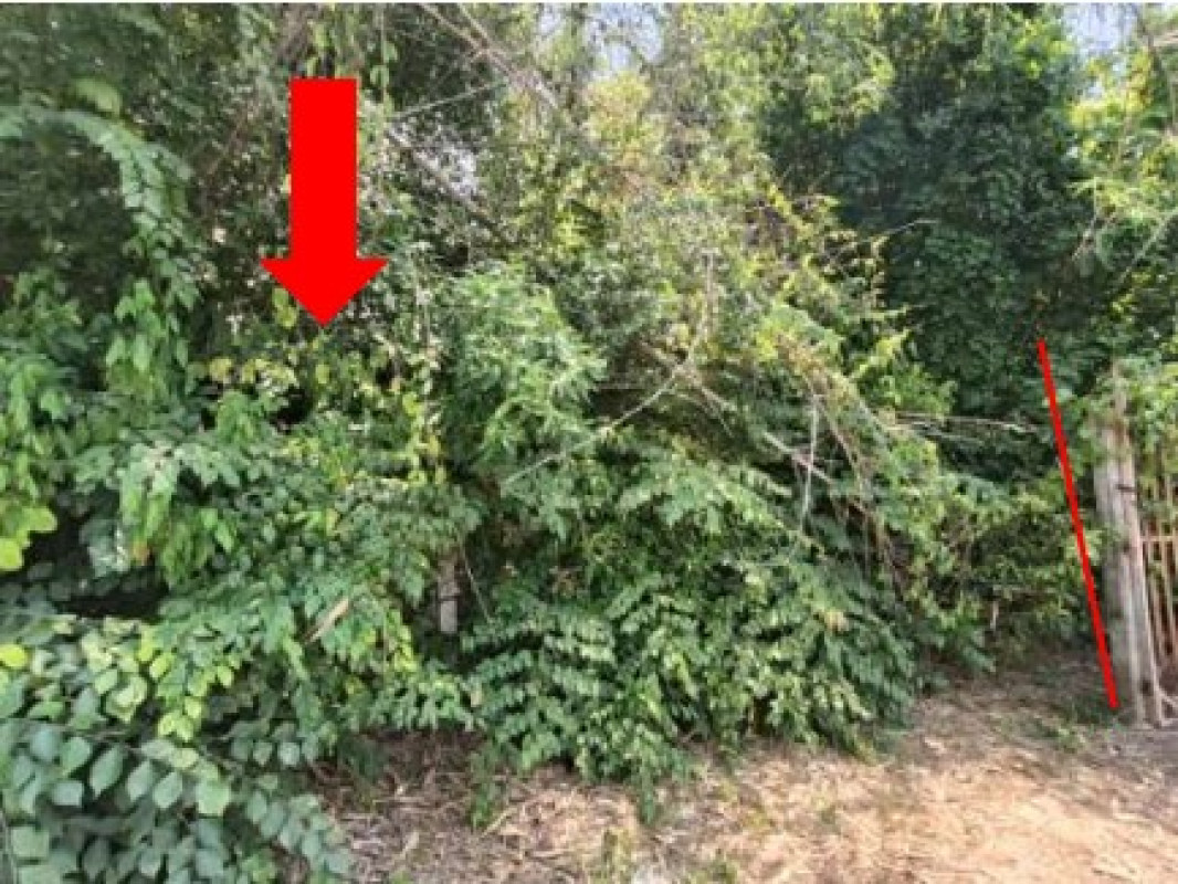 ที่ดินเปล่า พิษณุโลก พรหมพิราม หอกลอง 18000