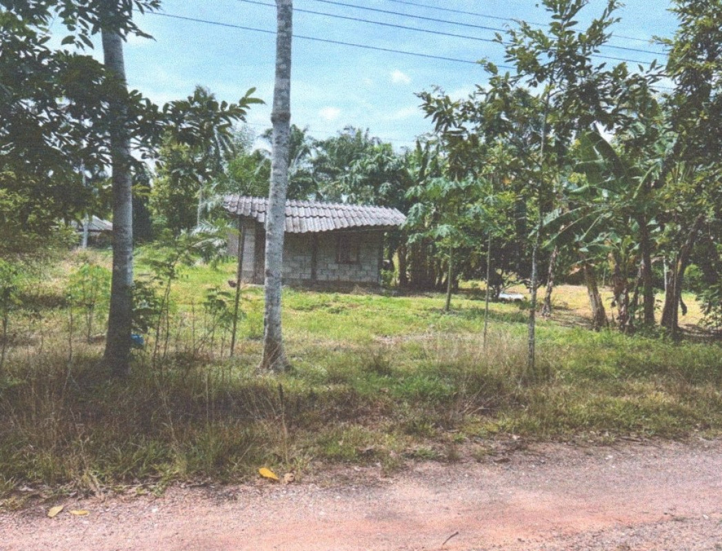 บ้านเดี่ยว สุราษฎร์ธานี พระแสง ไทรขึง 426080