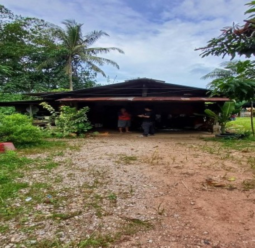 บ้านเดี่ยว สงขลา สะเดา ท่าโพธิ์ 337800