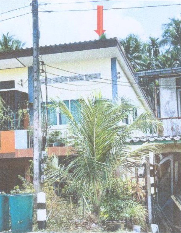 ทาวน์เฮ้าส์ ตรัง เมืองตรัง หนองตรุด 1132900