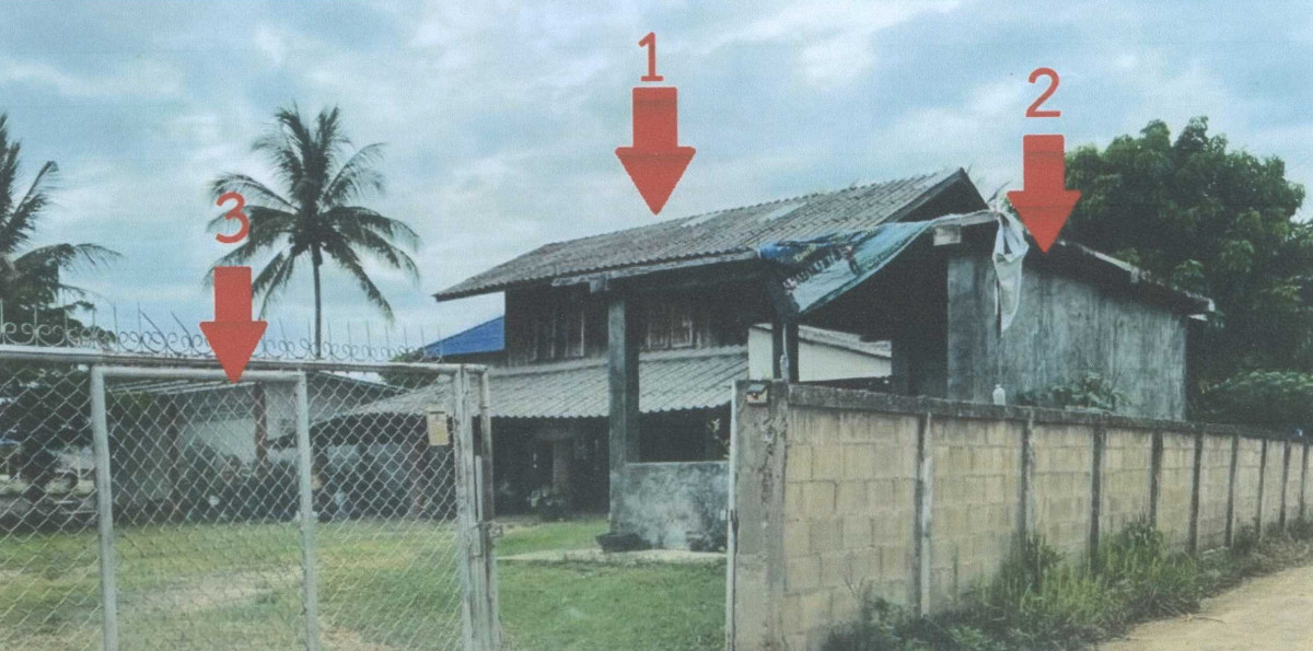 บ้านเดี่ยว พะเยา ดอกคำใต้ ดอกคำใต้ 1389320