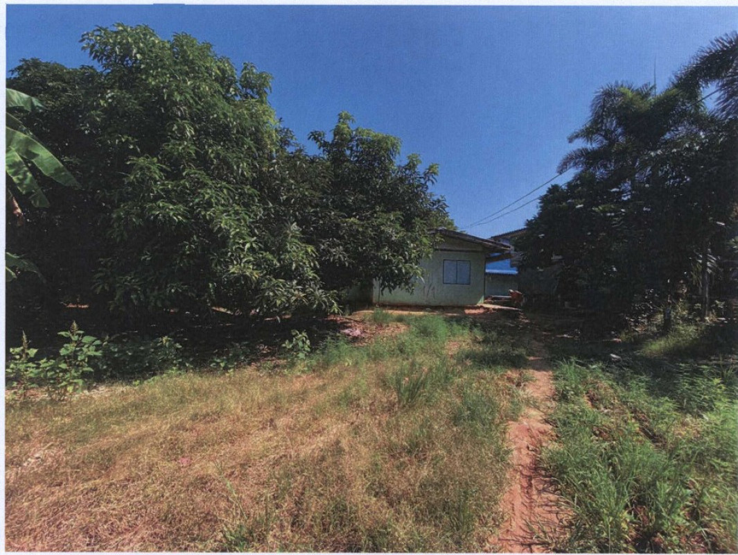 ที่ดินเปล่า พิจิตร บางมูลนาก หอไกร 41760