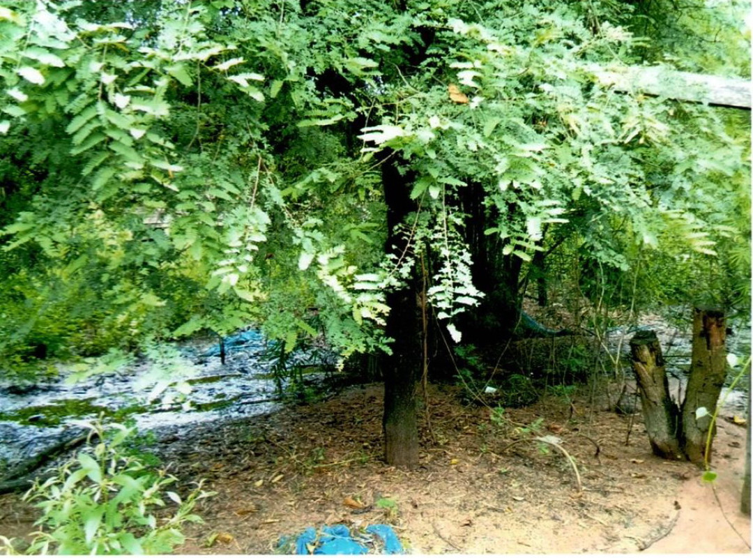 ที่ดินเปล่า ขอนแก่น ภูเวียง นาชุมแสง 71280