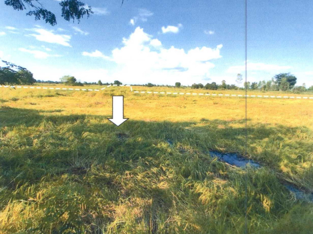 Residential land/lot Buri Ram Nang Rong Lam Sai Yong 1188450