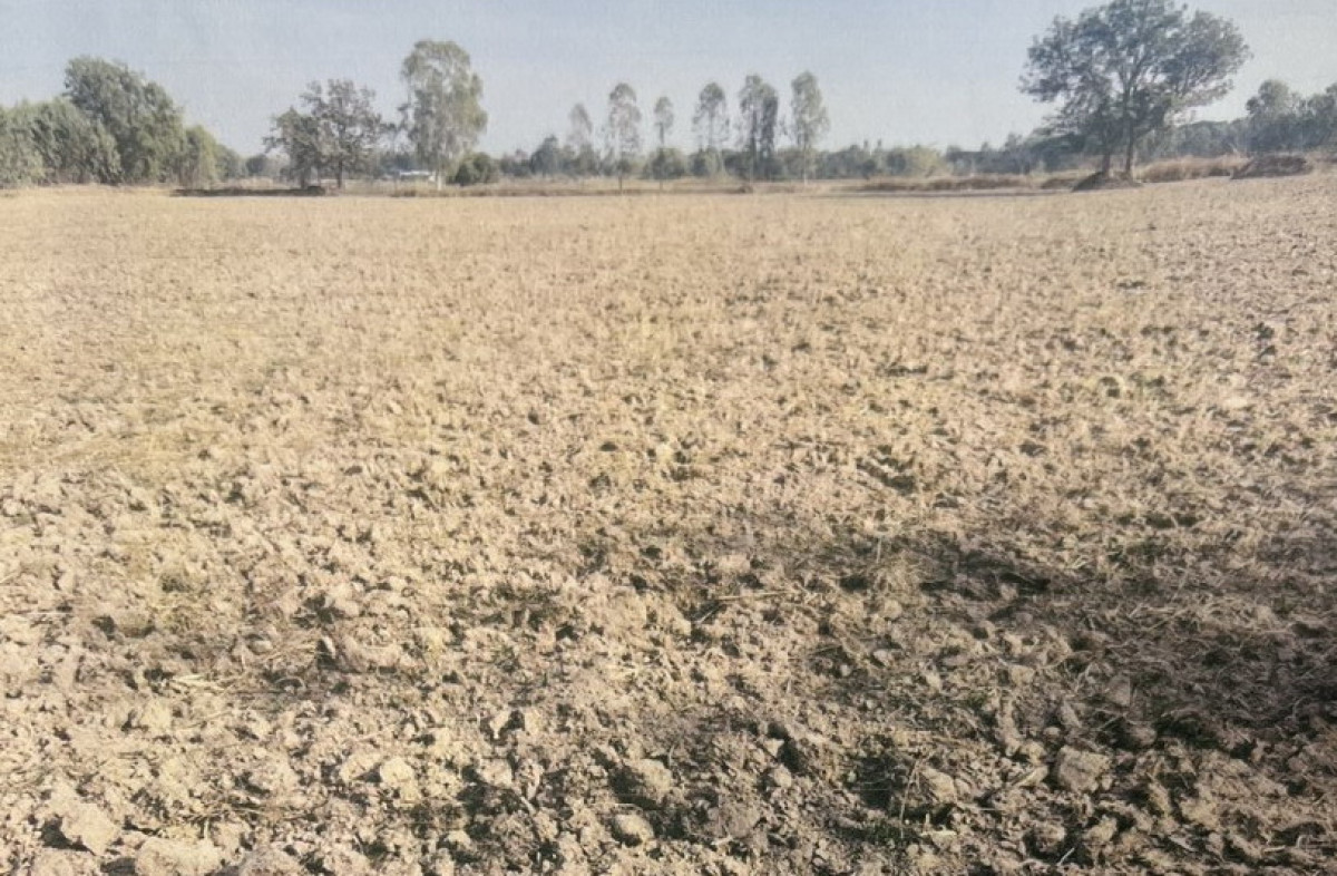 ที่ดินเปล่า มหาสารคาม โกสุมพิสัย เขวาไร่ 257720