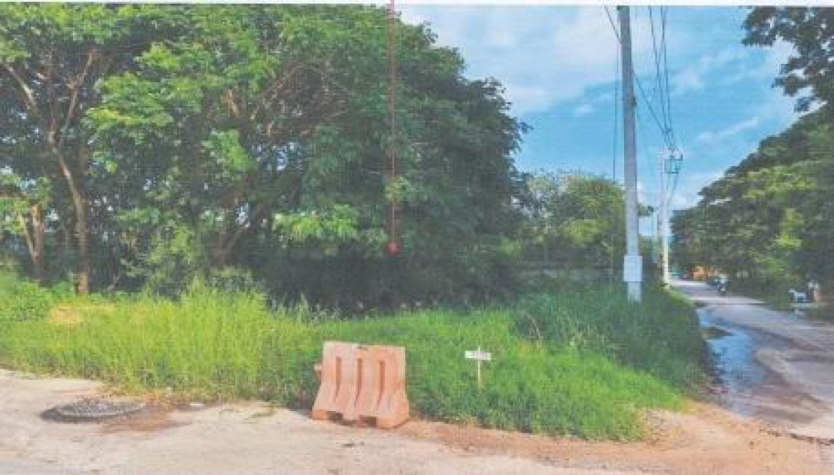 ที่ดินเปล่า ชัยภูมิ ภูเขียว ผักปัง 201936