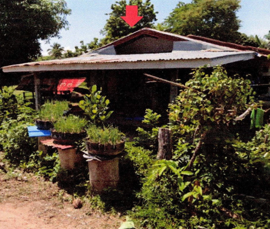 บ้านเดี่ยว บึงกาฬ ปากคาด โนนศิลา 296050