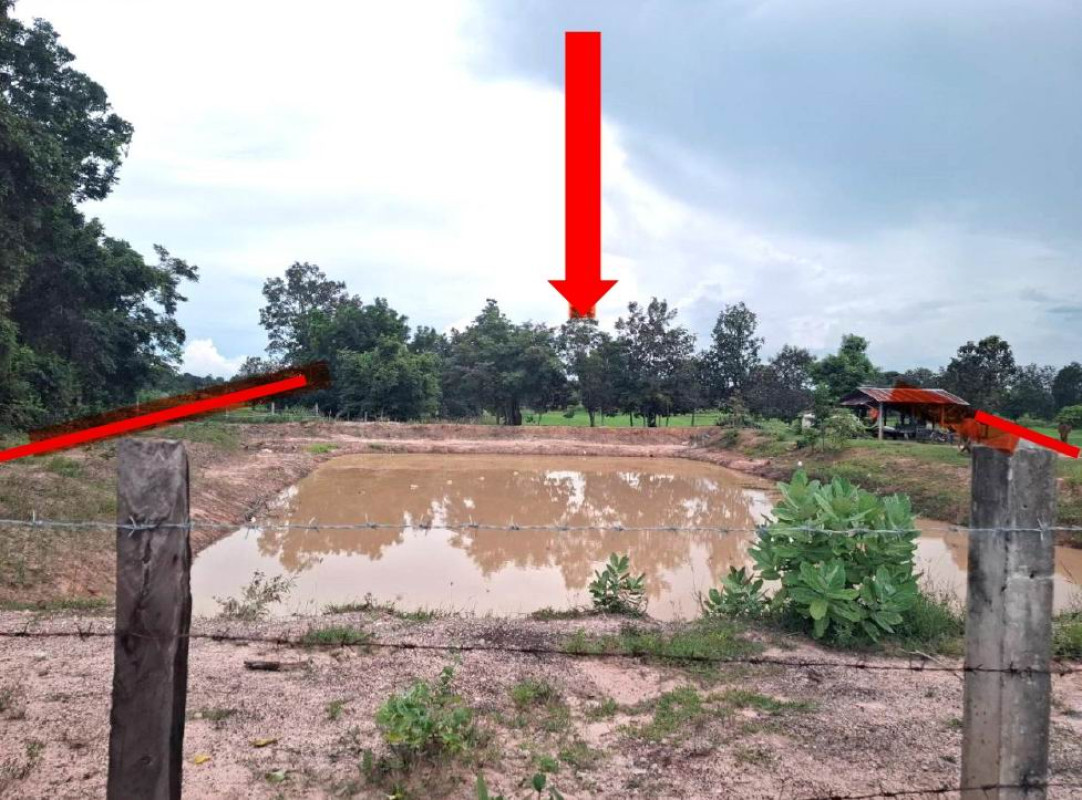 ที่ดินเปล่า มหาสารคาม นาดูน หนองคู 636650