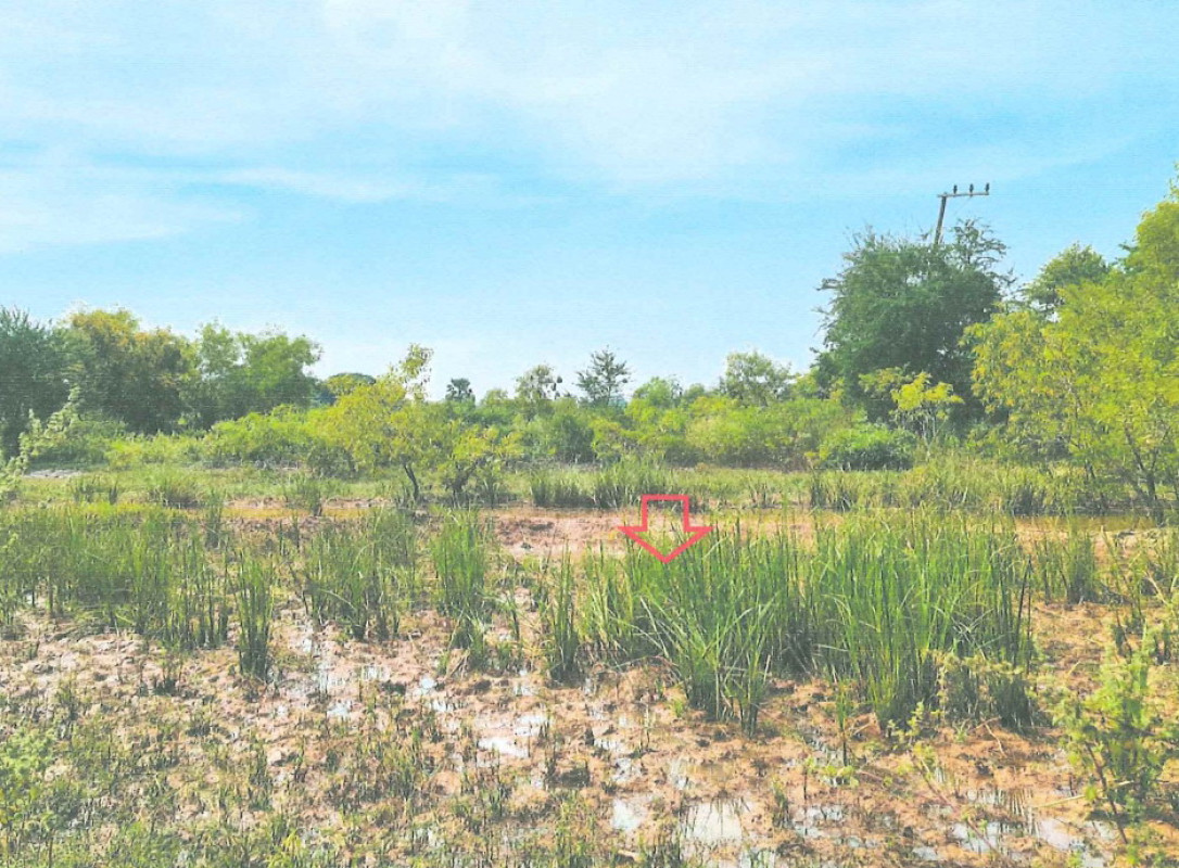 ที่ดินเปล่า นครนายก องครักษ์ ศีรษะกระบือ 55000