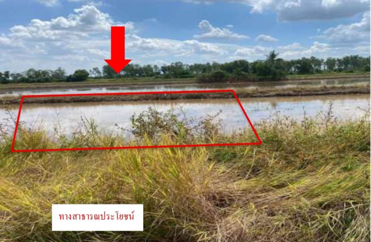 ที่ดินเปล่า นครนายก องครักษ์ ศีรษะกระบือ 120000