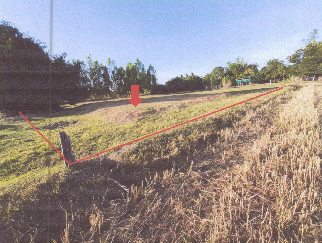 ที่ดินเปล่า สุรินทร์ เมืองสุรินทร์ ราม 16400