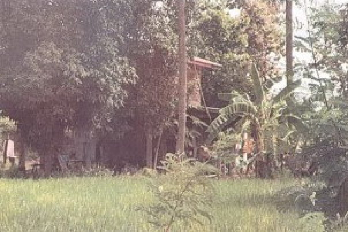 บ้านเดี่ยว พิจิตร ดงเจริญ ห้วยพุก 146612