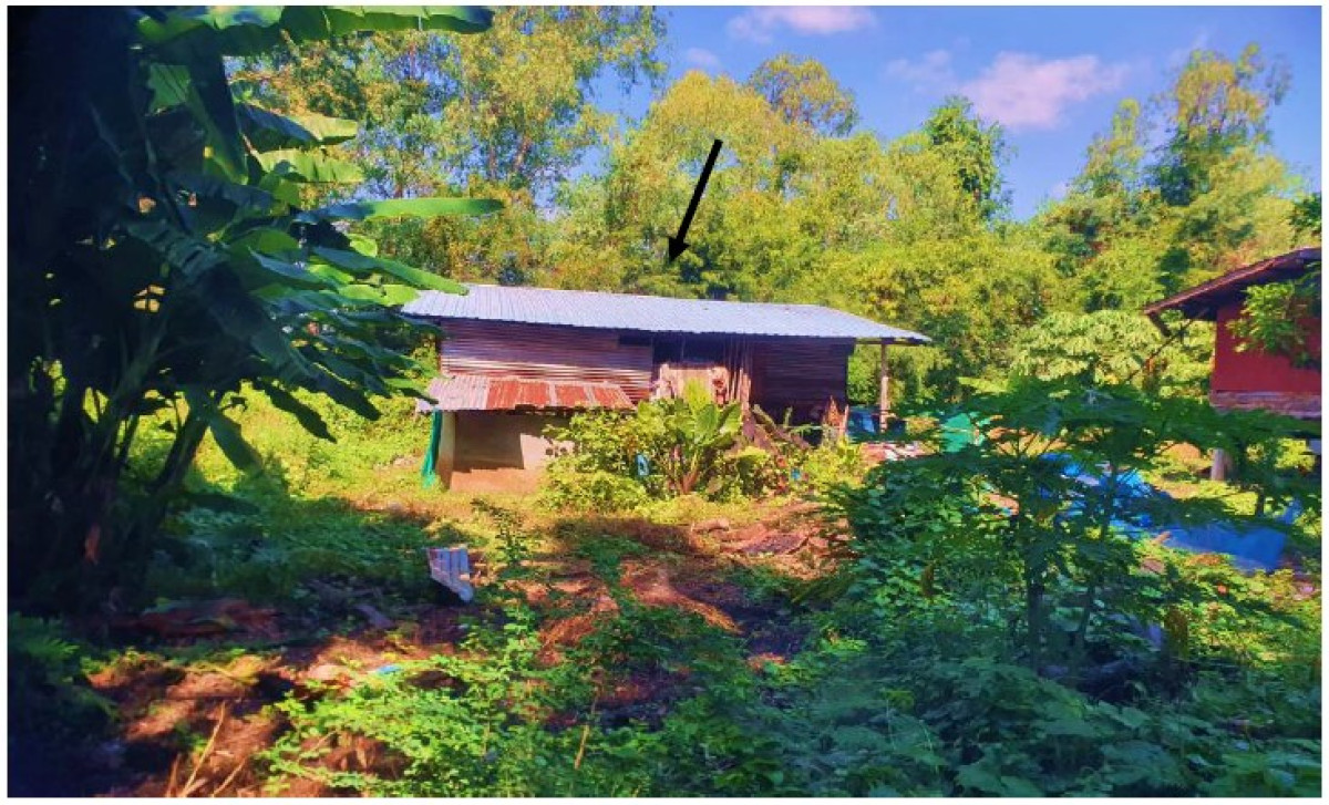 บ้านเดี่ยว พิจิตร ดงเจริญ วังงิ้วใต้ 77180