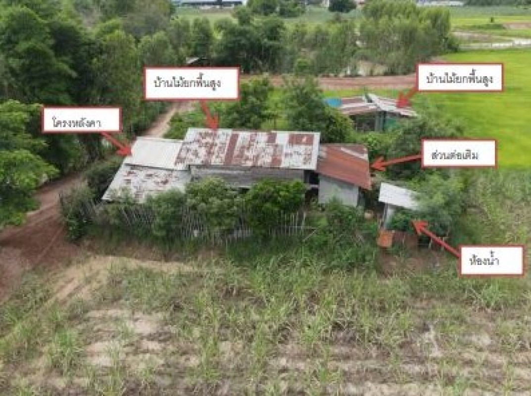 บ้านเดี่ยว อุดรธานี บ้านผือ บ้านผือ 5080710