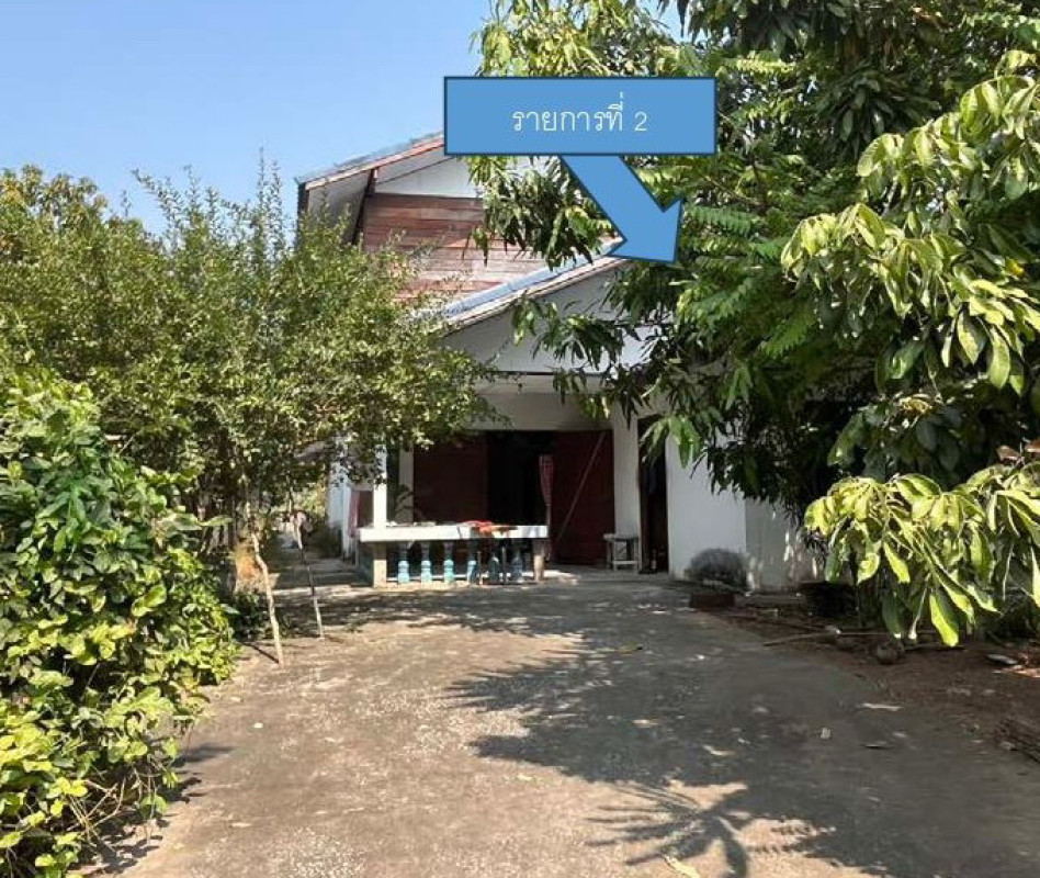 บ้านเดี่ยว ขอนแก่น ชุมแพ หนองไผ่ 447450