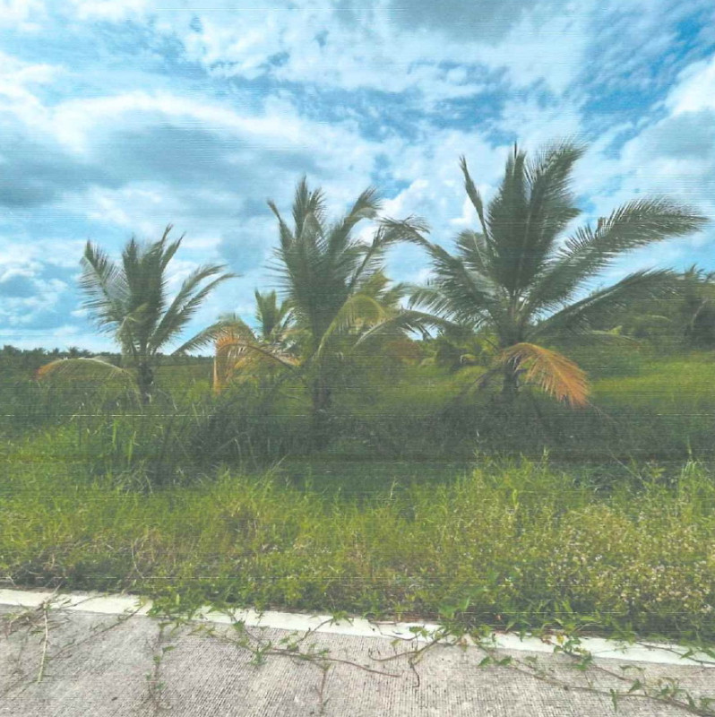 ที่ดินเปล่า นครศรีธรรมราช ปากพนัง หูล่อง 366630