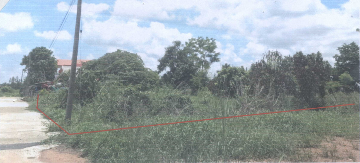 ที่ดินเปล่า พิจิตร ตะพานหิน งิ้วราย 133650