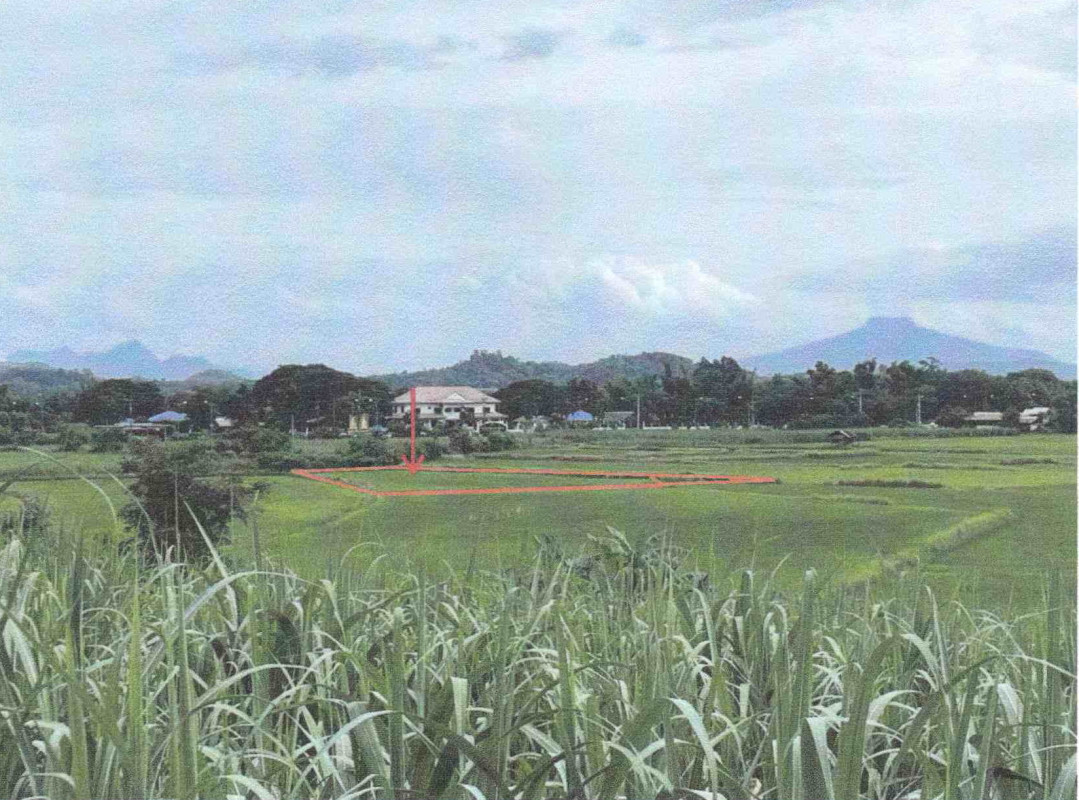 ที่ดินเปล่า เลย วังสะพุง วังสะพุง 426900