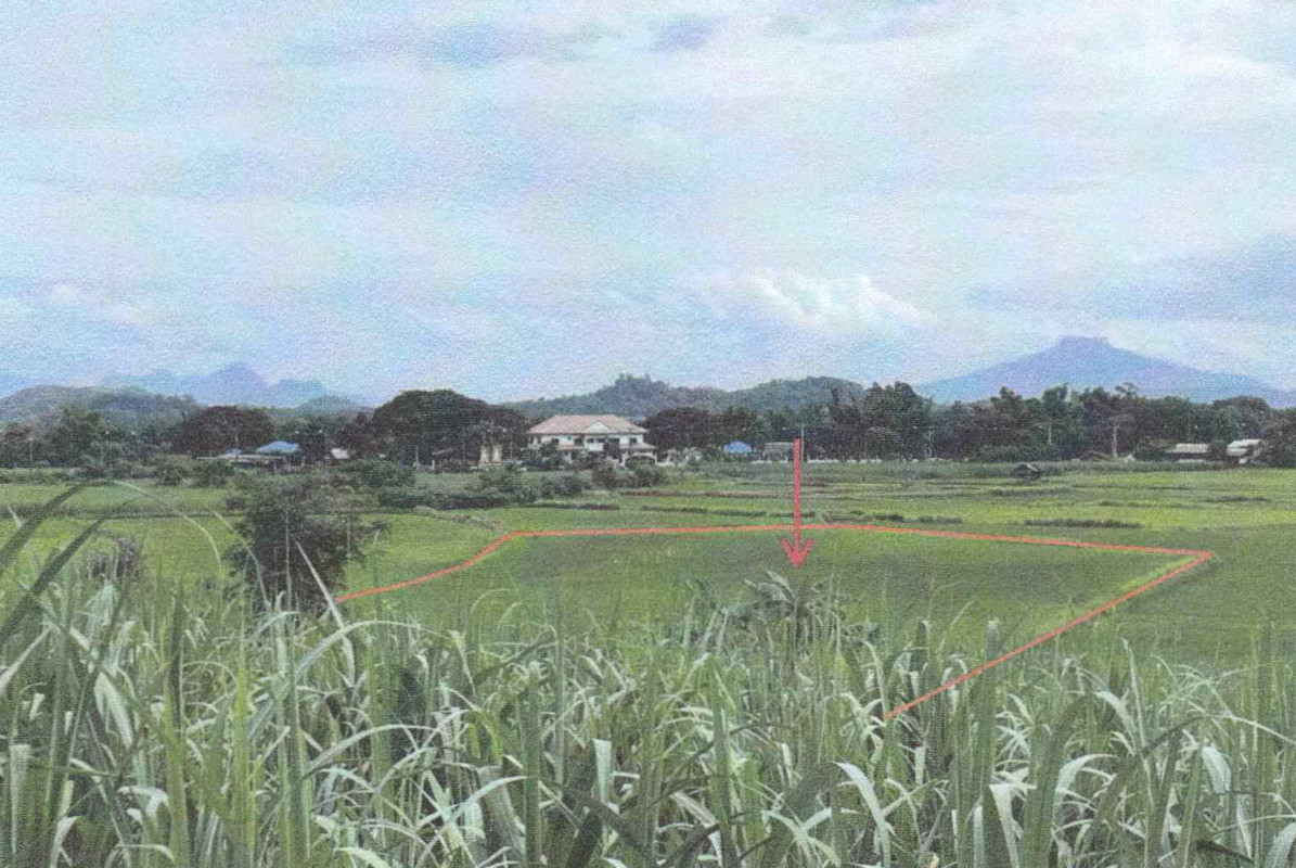 บ้านเดี่ยว เลย วังสะพุง วังสะพุง 537300