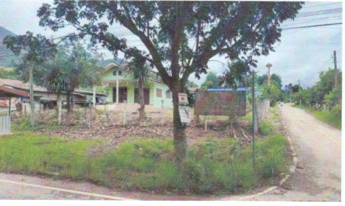 บ้านเดี่ยว เลย ท่าลี่ ท่าลี่ 625800