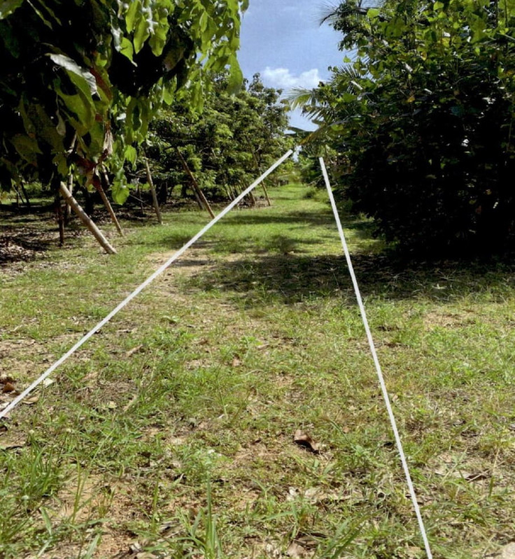 ที่ดินเปล่า เชียงใหม่ สารภี ท่ากว้าง 84500