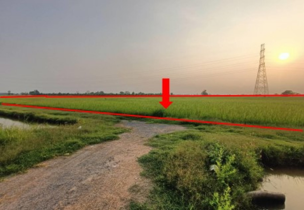 ที่ดินเปล่า พิษณุโลก พรหมพิราม ศรีภิรมย์ 1449500