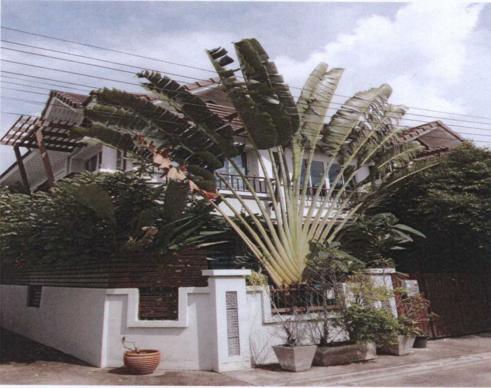 ทาวน์เฮ้าส์ นนทบุรี เมืองนนทบุรี บางเขน 1501696