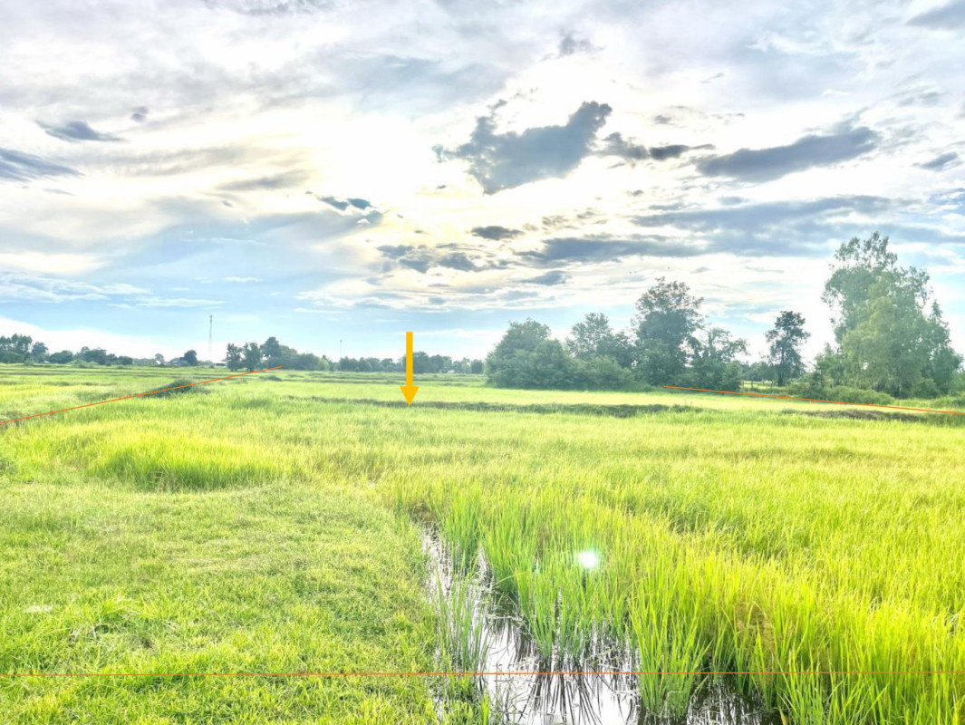 ที่ดินเปล่า มหาสารคาม วาปีปทุม หนองทุ่ม 493500