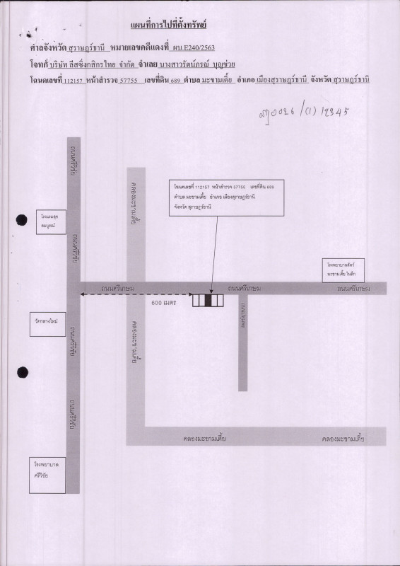 ทาวน์เฮ้าส์ สุราษฎร์ธานี เมืองสุราษฎร์ธานี มะขามเตี้ย 5058000