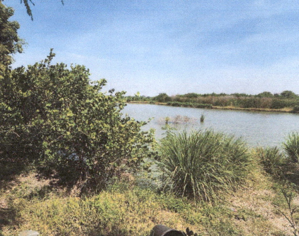 ที่ดินเปล่า นครปฐม นครชัยศรี ท่าตำหนัก 3862500