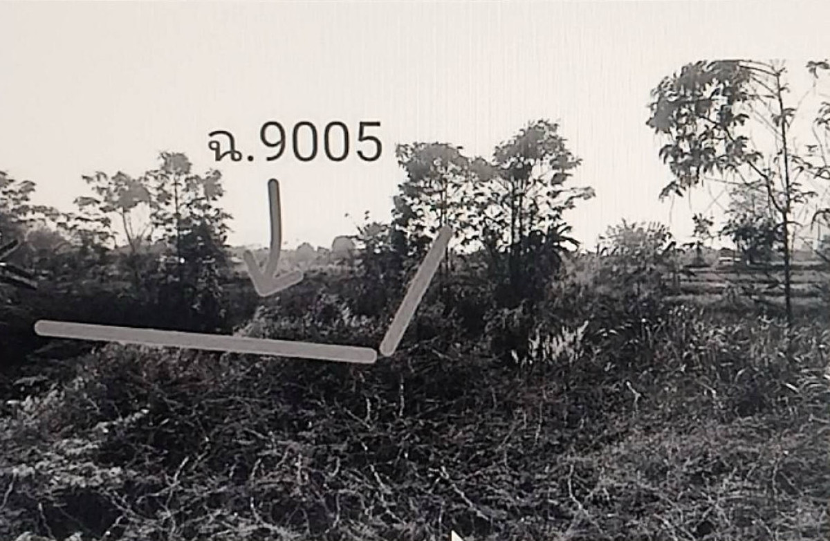 ที่ดินเปล่า ขอนแก่น ภูผาม่าน โนนคอม 100000