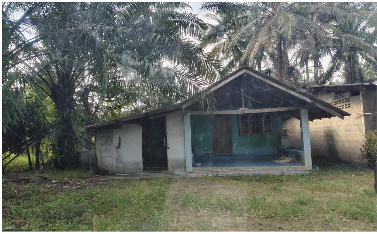 ทาวน์เฮ้าส์ สุราษฎร์ธานี พระแสง อิปัน 280720