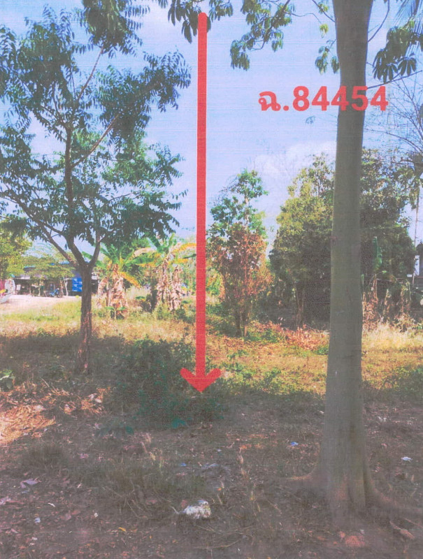 ที่ดินเปล่า ศรีสะเกษ เมืองศรีสะเกษ หนองไผ่ 97800