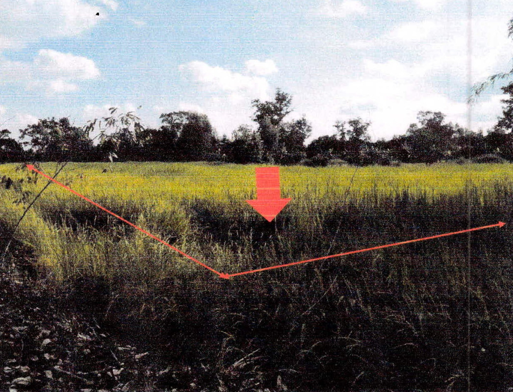 Residential land/lot Si Sa Ket Rasi Salai Mueang Khaen 244244