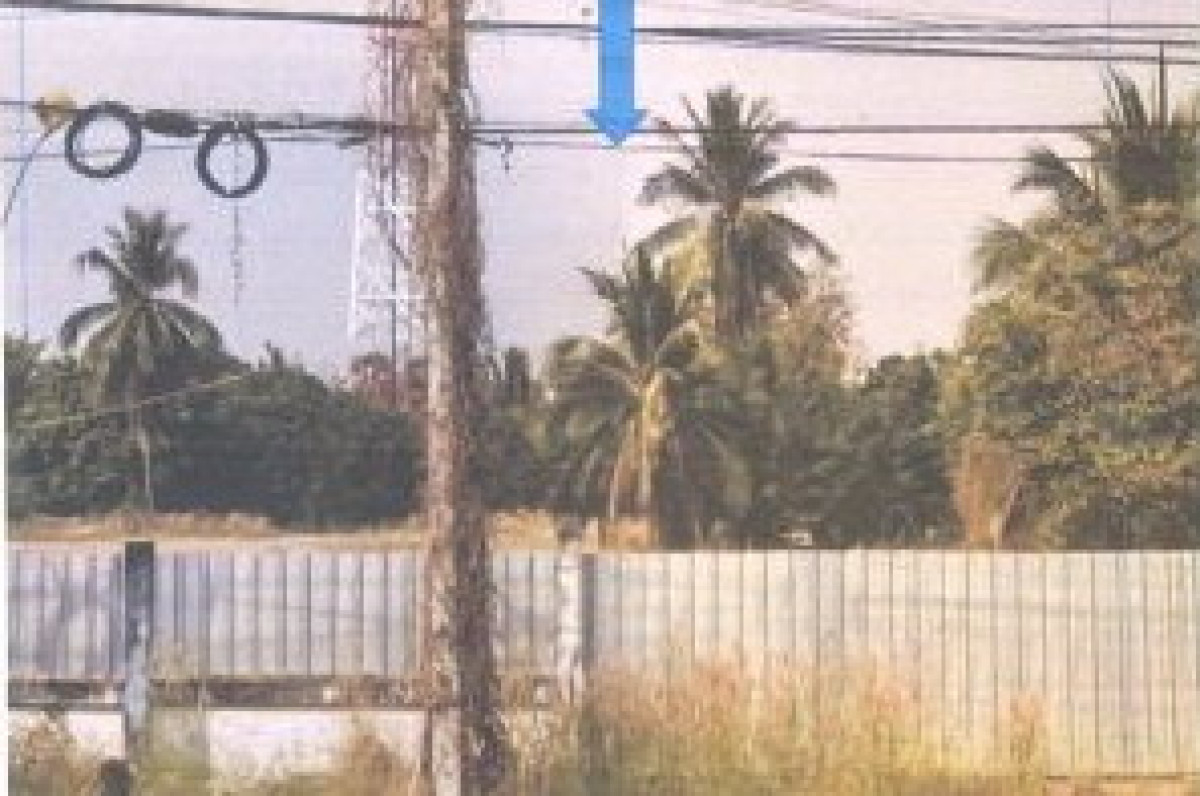 ที่ดินเปล่า เพชรบูรณ์ หนองไผ่ บ้านโภชน์ 583500