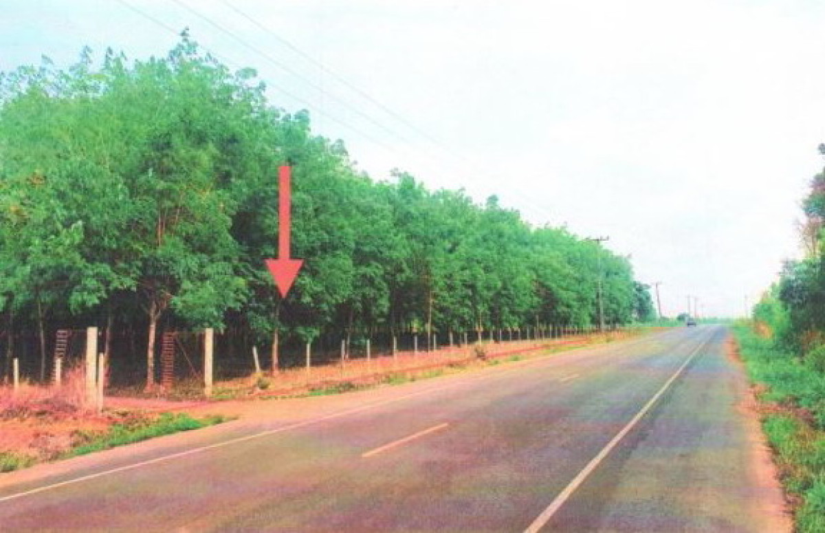 บ้านเดี่ยว อุดรธานี ศรีธาตุ ศรีธาตุ 1634500