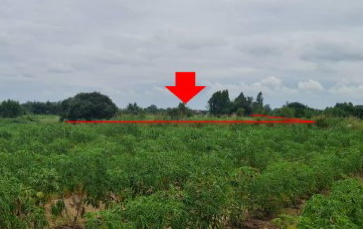 ที่ดินเปล่า กำแพงเพชร เมืองกำแพงเพชร อ่างทอง 731816