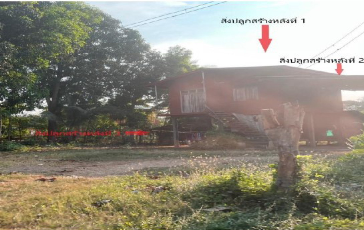 บ้านเดี่ยว พิษณุโลก พรหมพิราม วงฆ้อง 285920