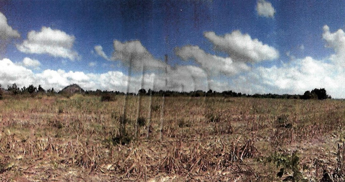 ที่ดินเปล่า ลพบุรี ชัยบาดาล ม่วงค่อม 5964710