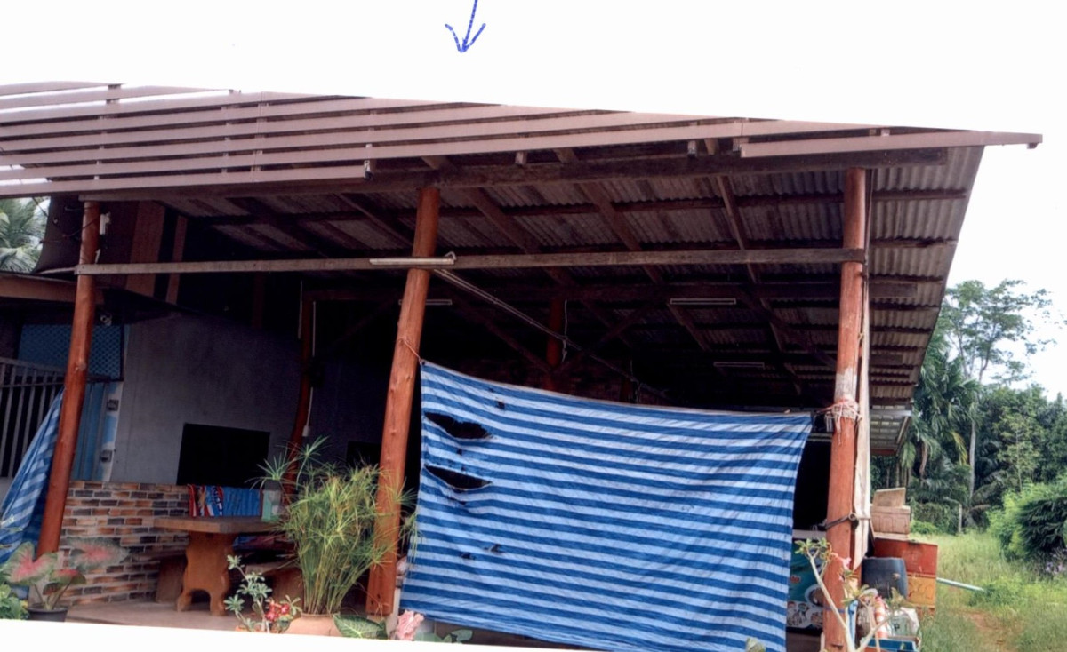 บ้านเดี่ยว พัทลุง เมืองพัทลุง นาโหนด 420800