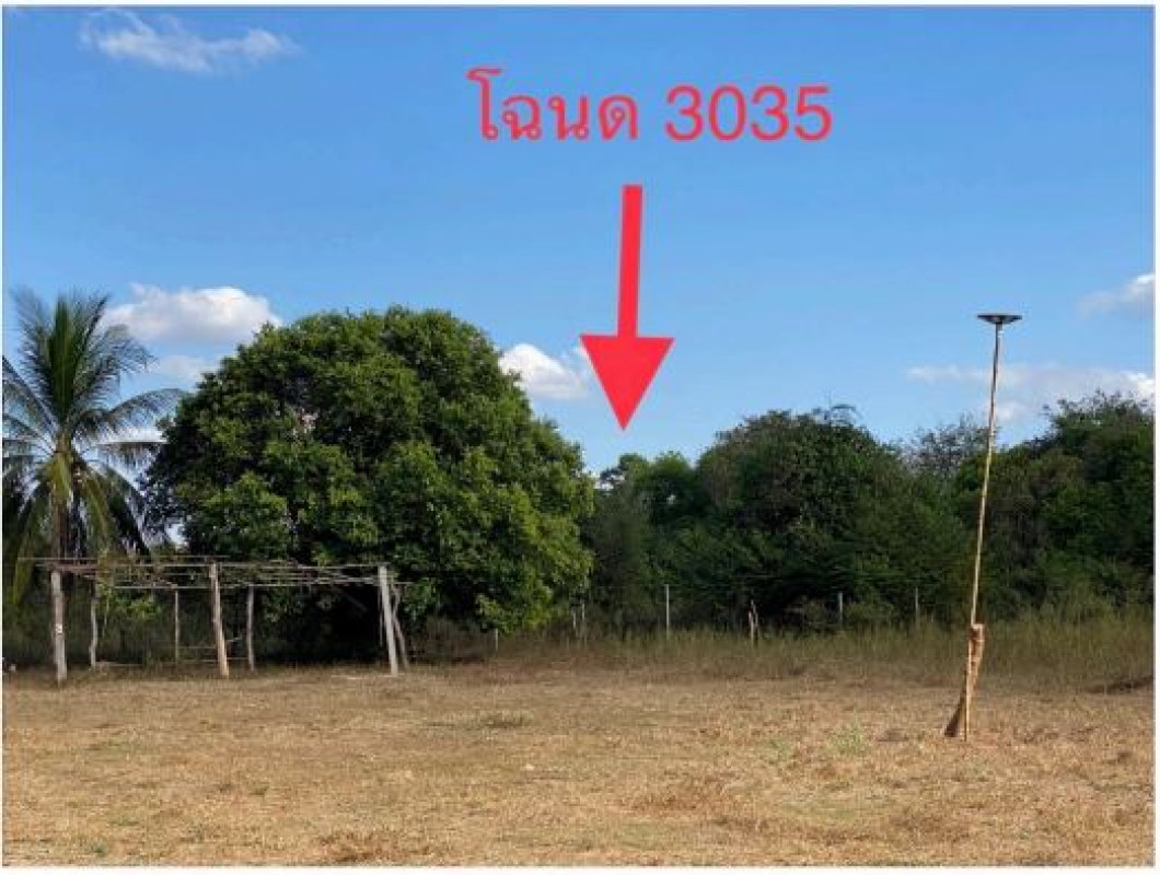 ที่ดินเปล่า อุดรธานี ประจักษ์ศิลปาคม นาม่วง 851925