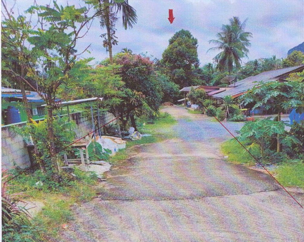 ที่ดินเปล่า กระบี่ อ่าวลึก เขาใหญ่ 392000