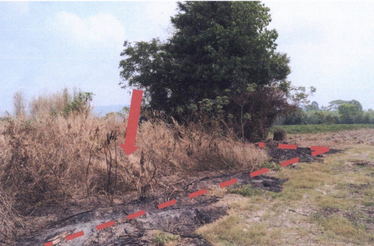 ที่ดินเปล่า พิษณุโลก เมืองพิษณุโลก บ้านป่า 320000