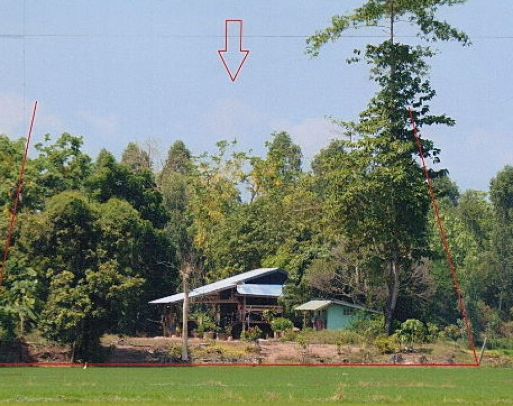 บ้านเดี่ยว พิษณุโลก พรหมพิราม พรหมพิราม 309030