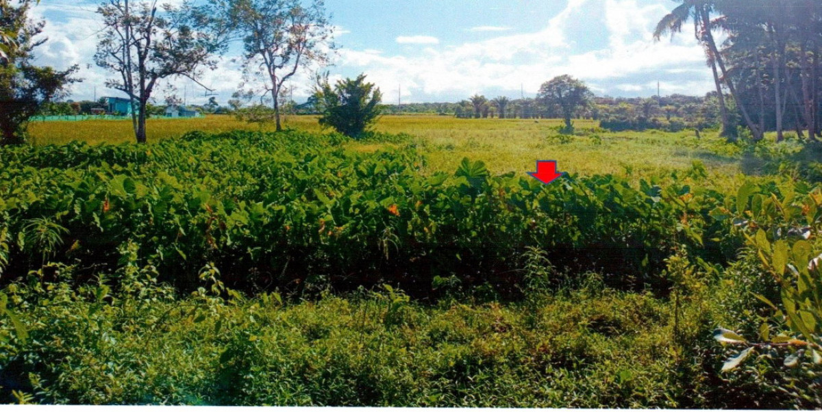 ที่ดินเปล่า ตรัง เมืองตรัง ทับเที่ยง 35400